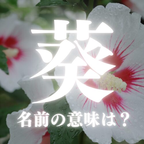 葵がつく漢字の名前の意味や読み方を解説