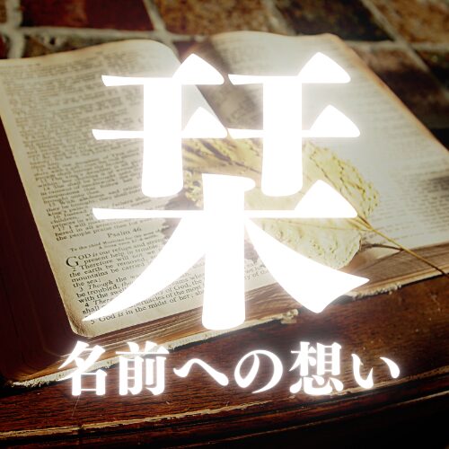 栞がつく漢字の名前への想い