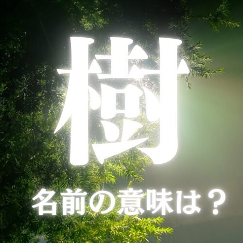 樹がつく漢字の名前の意味や読み方を解説