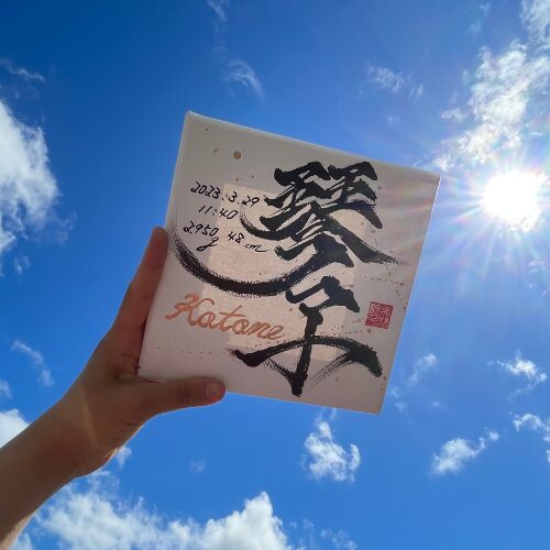 【琴】がつく名女の子の名前琴子ちゃん