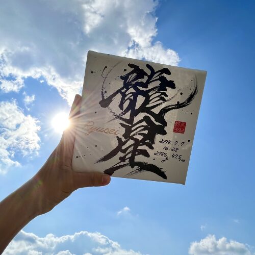 【星】がつく男の子の名前龍星くん