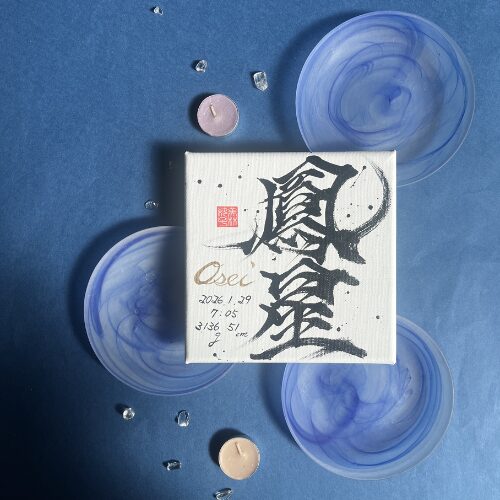 【星】がつく男の子の名前鳳星くん