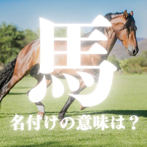【馬】の読み方や名前の意味を解説